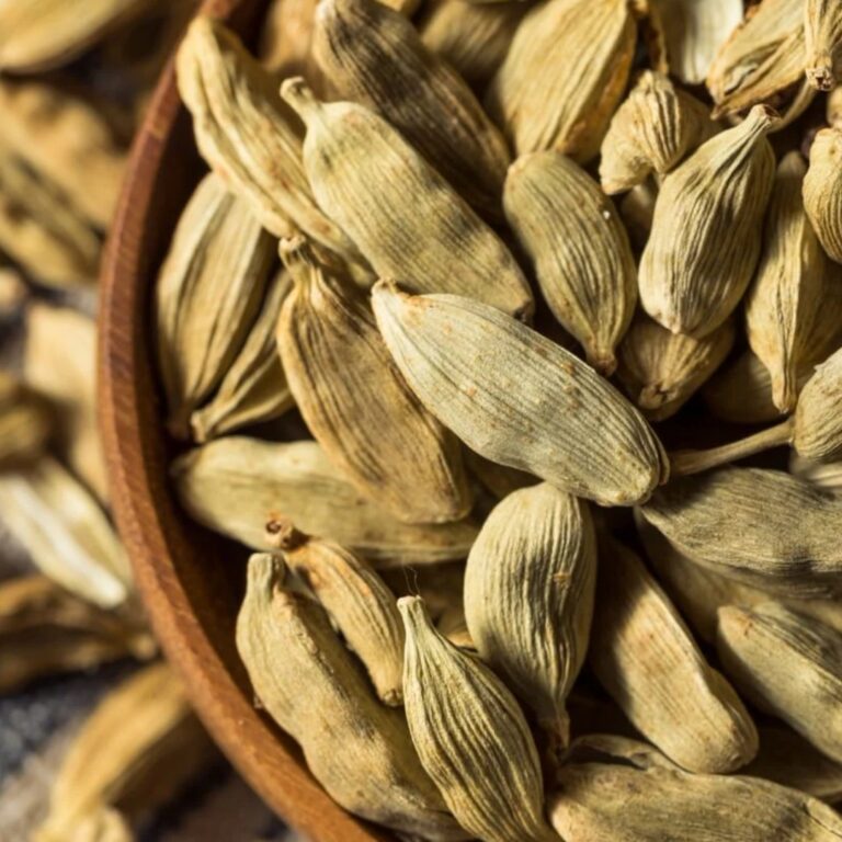 Cardamom: Queen of Spices