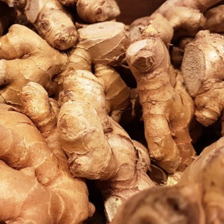 Ginger: Warm and Pungent